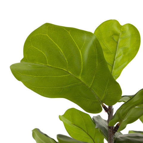 Faux Fiddle Leaf Tree